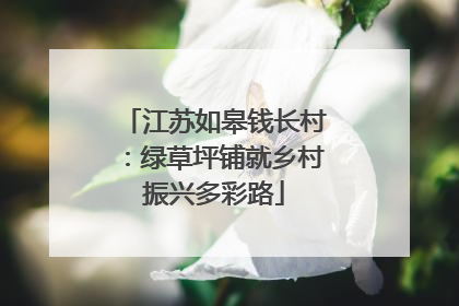 江苏如皋钱长村：绿草坪铺就乡村振兴多彩路