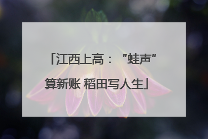 江西上高：“蛙声”算新账 稻田写人生