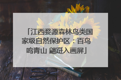 江西婺源森林鸟类国家级自然保护区：百鸟鸣青山 翩跹入画屏