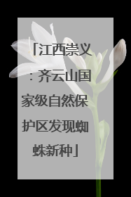 江西崇义：齐云山国家级自然保护区发现蜘蛛新种