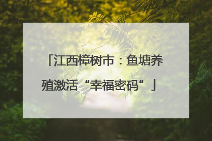 江西樟树市：鱼塘养殖激活“幸福密码”