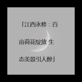 江西永修：百亩荷花绽放 生态美景引人醉