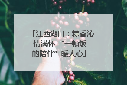 江西湖口：粽香沁 情满怀 “一顿饭的陪伴”暖人心