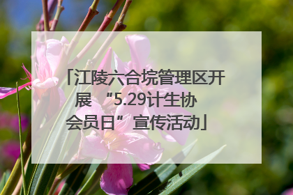 江陵六合垸管理区开展 “5.29计生协会员日”宣传活动