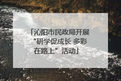 沁阳市民政局开展“研学促成长 多彩在路上”活动