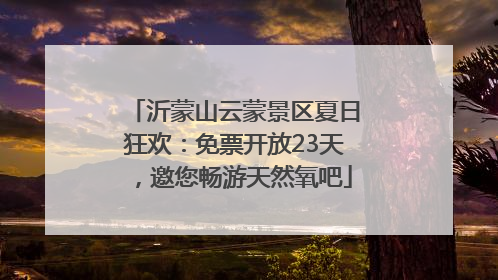 沂蒙山云蒙景区夏日狂欢：免票开放23天，邀您畅游天然氧吧