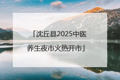 沈丘县2025中医养生夜市火热开市