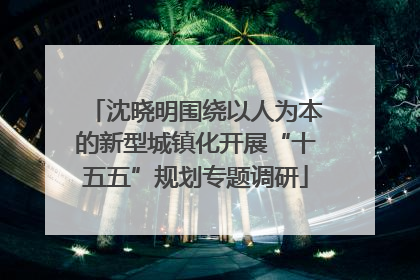沈晓明围绕以人为本的新型城镇化开展“十五五”规划专题调研
