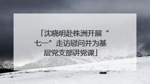 沈晓明赴株洲开展“七一”走访慰问并为基层党支部讲党课