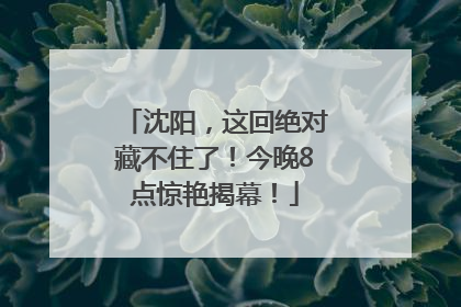 沈阳，这回绝对藏不住了！今晚8点惊艳揭幕！