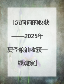 沉甸甸的收获——2025年夏季粮油收获一线观察