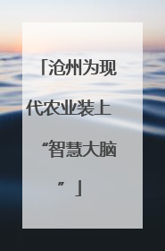 沧州为现代农业装上“智慧大脑”