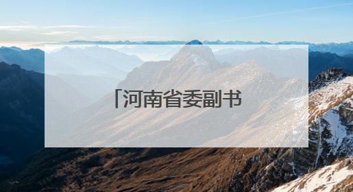 河南省委副书记张巍兼任省委政法委书记