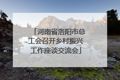 河南省洛阳市总工会召开乡村振兴工作座谈交流会
