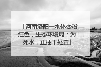 河南洛阳一水体变粉红色，生态环境局：为死水，正抽干处置