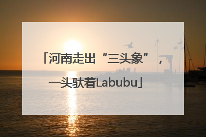 河南走出“三头象”，一头驮着Labubu