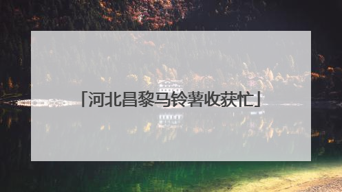 河北昌黎马铃薯收获忙