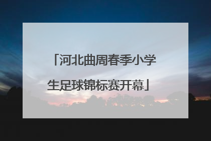 河北曲周春季小学生足球锦标赛开幕