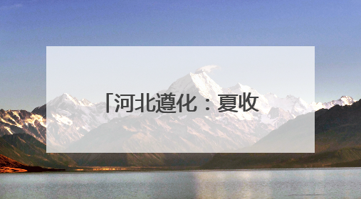 河北遵化：夏收时节田园如画
