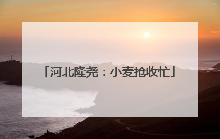 河北隆尧：小麦抢收忙