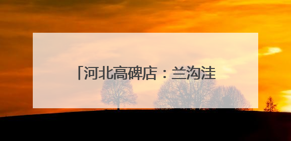 河北高碑店：兰沟洼蓄滞洪区工程建设忙