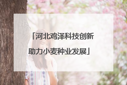河北鸡泽科技创新助力小麦种业发展
