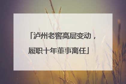 泸州老窖高层变动，履职十年董事离任