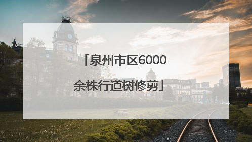 泉州市区6000余株行道树修剪