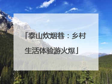 泰山炊烟巷：乡村生活体验游火爆