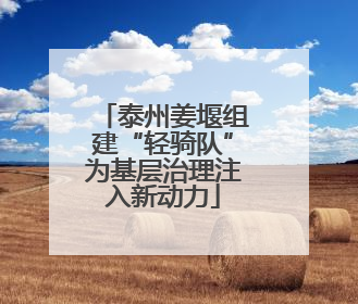 泰州姜堰组建“轻骑队”为基层治理注入新动力