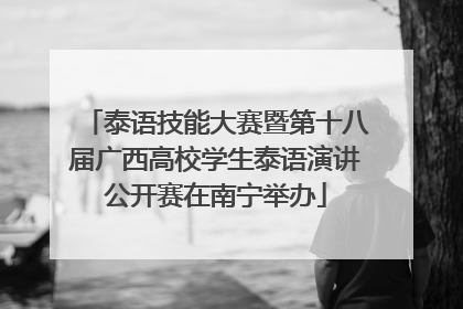泰语技能大赛暨第十八届广西高校学生泰语演讲公开赛在南宁举办