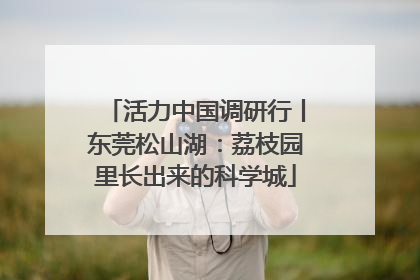 活力中国调研行丨东莞松山湖：荔枝园里长出来的科学城