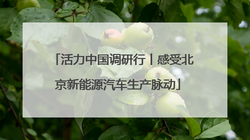 活力中国调研行丨感受北京新能源汽车生产脉动
