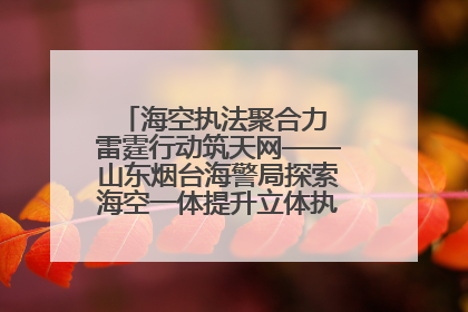 海空执法聚合力 雷霆行动筑天网——山东烟台海警局探索海空一体提升立体执法效能纪实