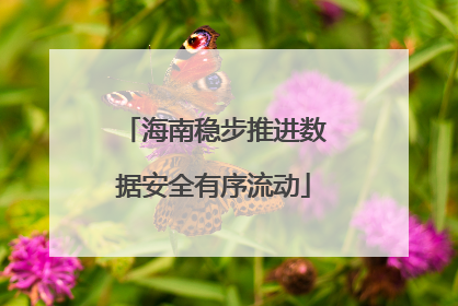 海南稳步推进数据安全有序流动