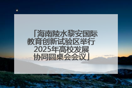 海南陵水黎安国际教育创新试验区举行2025年高校发展协同圆桌会会议