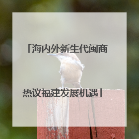 海内外新生代闽商热议福建发展机遇