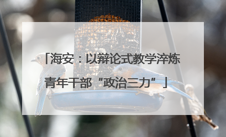 海安：以辩论式教学淬炼青年干部“政治三力”