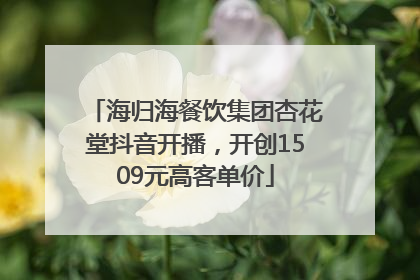海归海餐饮集团杏花堂抖音开播，开创1509元高客单价