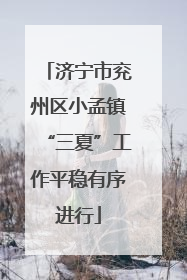 济宁市兖州区小孟镇“三夏”工作平稳有序进行