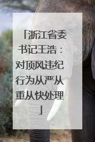 浙江省委书记王浩：对顶风违纪行为从严从重从快处理