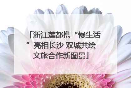 浙江莲都携“慢生活”亮相长沙 双城共绘文旅合作新图景