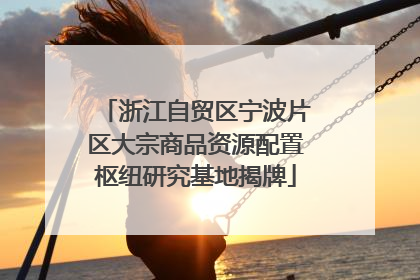 浙江自贸区宁波片区大宗商品资源配置枢纽研究基地揭牌
