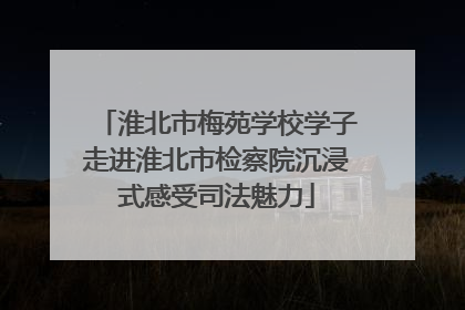 淮北市梅苑学校学子走进淮北市检察院沉浸式感受司法魅力