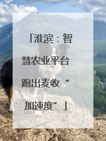 淮滨：智慧农业平台跑出麦收“加速度”