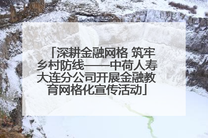 深耕金融网格 筑牢乡村防线——中荷人寿大连分公司开展金融教育网格化宣传活动