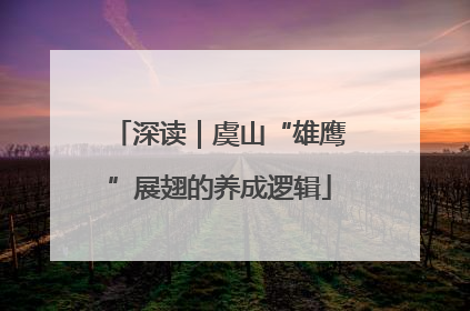 深读｜虞山“雄鹰”展翅的养成逻辑