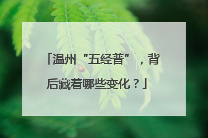 温州“五经普”，背后藏着哪些变化？