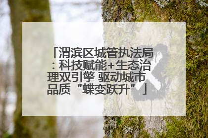 渭滨区城管执法局：科技赋能+生态治理双引擎 驱动城市品质“蝶变跃升”