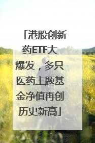 港股创新药ETF大爆发，多只医药主题基金净值再创历史新高